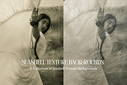 Seashell Texture Backgrounds, a Background Graphic by youtoview (Thumbnail 4 of 12)