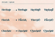 Prestissimo Classy (20% 0FF), a Script Font by Burntilldead (Thumbnail 11 of 23)