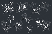 Hand Sketched Magnolia, a Decorative Illustration by Solana (Thumbnail 6 of 10)