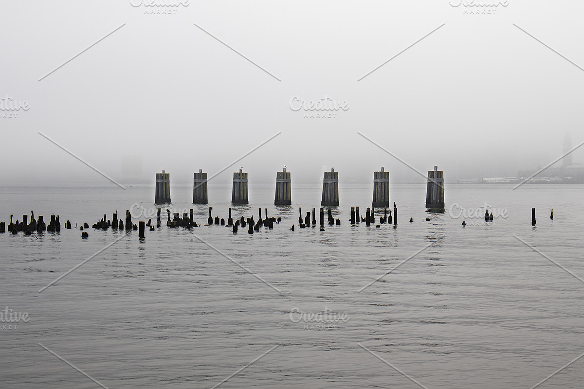 Foggy Photo Bundle, a Nature Photo by Full Circle Design Studio (Photo 3 of 8)
