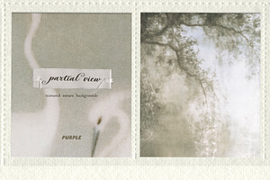 Partial View - Nature Backgrounds, a Background Graphic by Purple