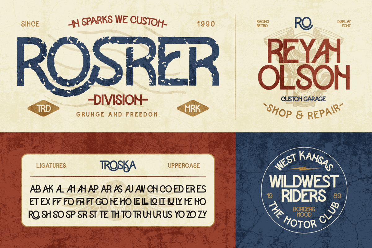 Troska, a Sans Serif Font by Burntilldead (Photo 4 of 12)