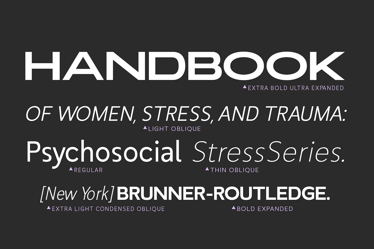 RNDI Anasera, a Sans Serif Font by RNDI Type Foundry (Photo 10 of 10)