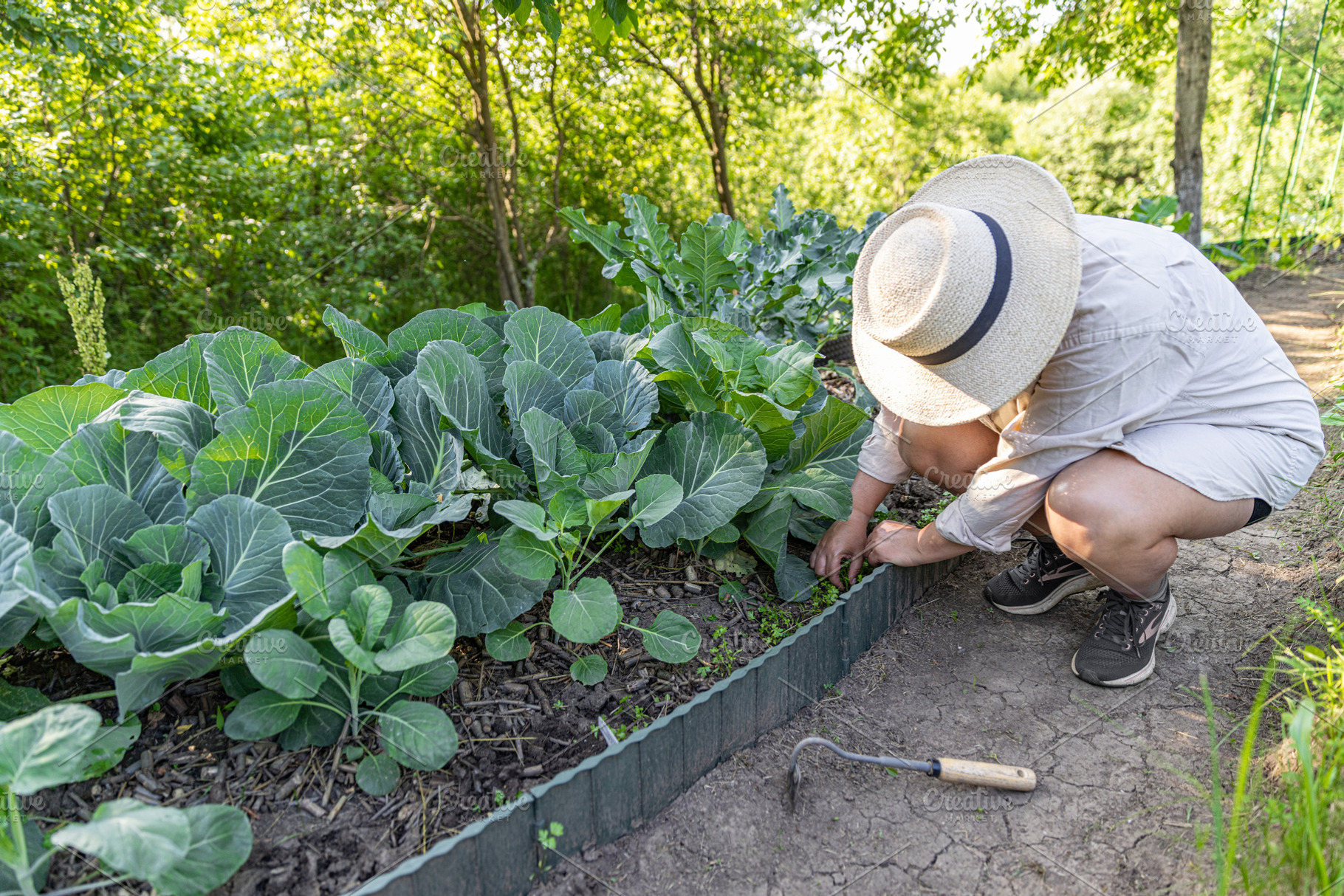Woman farmer removing weeds, a Photo by Grafvision photography