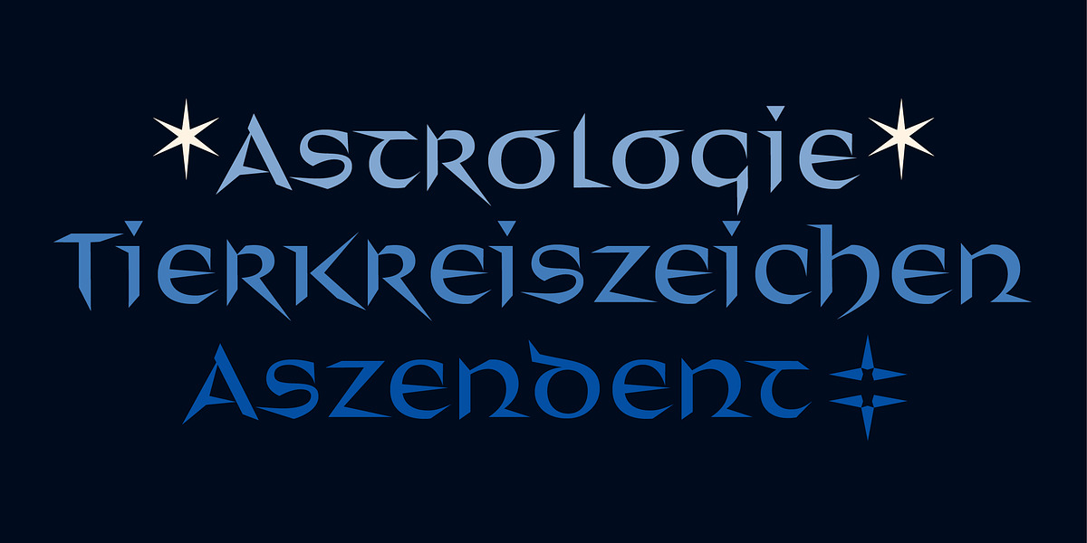 Distel, a Font by Finaltype (Photo 7 of 11)