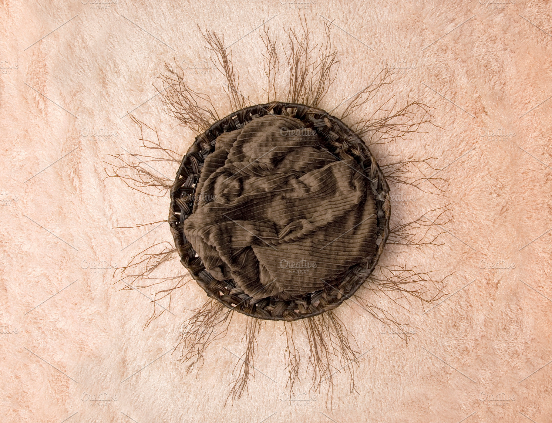 Newborn backdrop twig circle containing newborn, baby, and child, a Person Photo by P Maxwell Photography