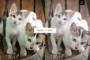 Le Natures Neutral Lightroom Presets, a Preset Add-On by SHOOM HOUSE (Thumbnail 6 of 7)