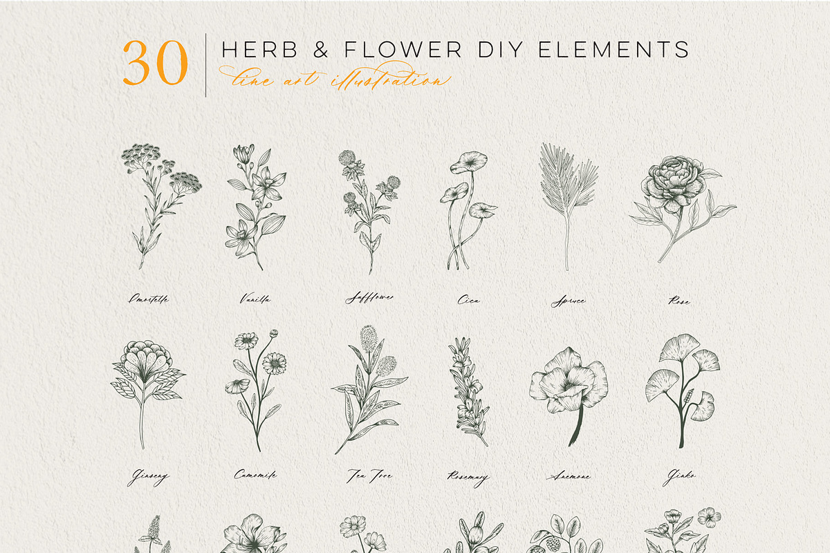 Flowers Bundle - 3 collections, an Illustration by Manimanisa (Photo 14 of 16)
