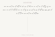 Cellanest - Modern Handwritten Font, a Handwritten Font by Myn Type (Thumbnail 13 of 13)