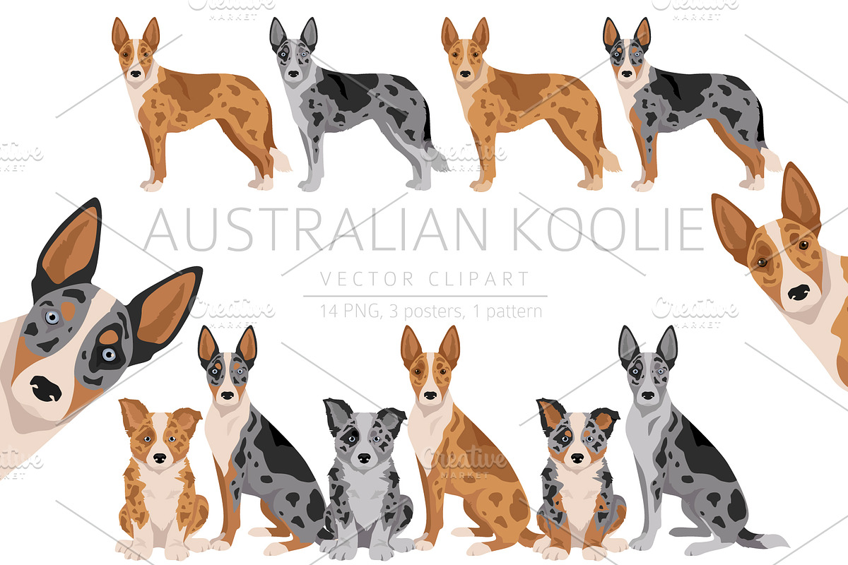 Australian Koolie Silhouette Koolies Pet Yard Signs Dogs Contained