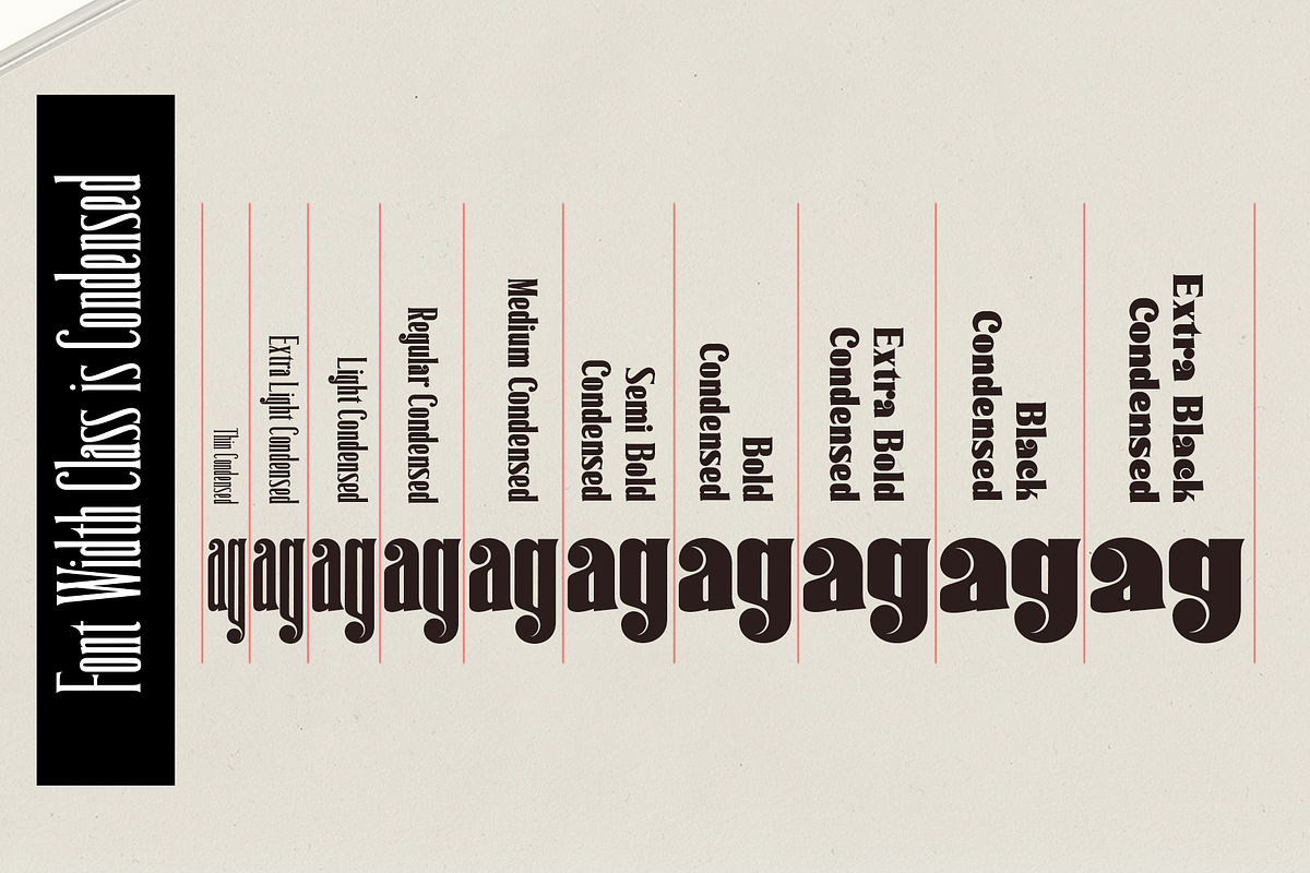 Delwyn Family, a Serif Font by jorse (Photo 5 of 7)