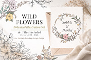 Wild Flowers Botanical Illustration, a Decorative Illustration by Papatongartist (Thumbnail 3 of 14)