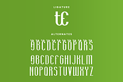 Outer Easter - Typeface Font, a Sans Serif Font by QR Design Studio (Thumbnail 3 of 4)