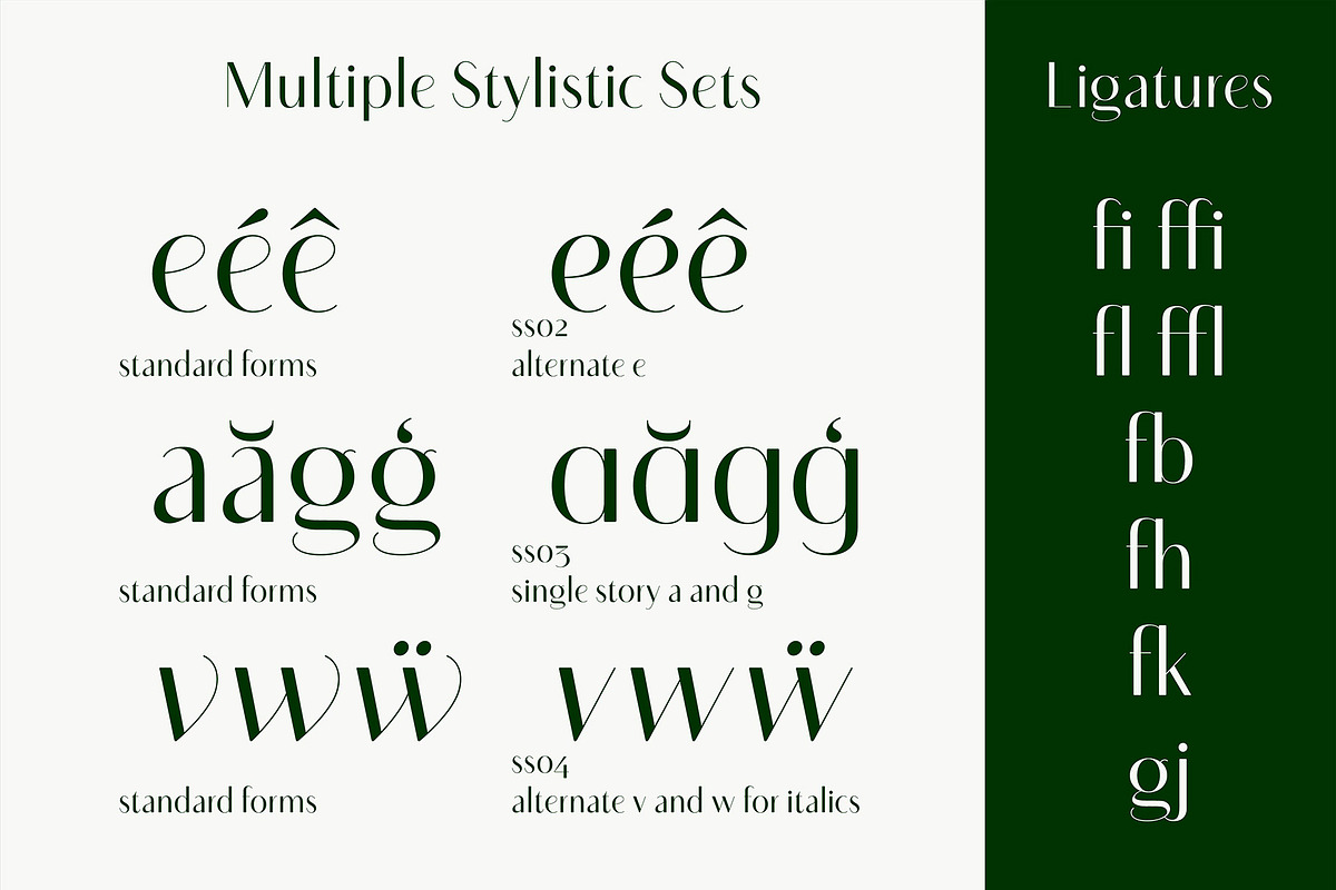 Sotira - A Crisp Sans Serif, a Font by Evoke Type Studio (Photo 6 of 15)