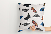 Realistic Butterfllies, Buttrerfly, an Animal Illustration by Bloom21Art (Thumbnail 5 of 5)