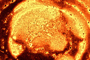 Pancakes !, a Texture Graphic by MHLY (Thumbnail 3 of 5)
