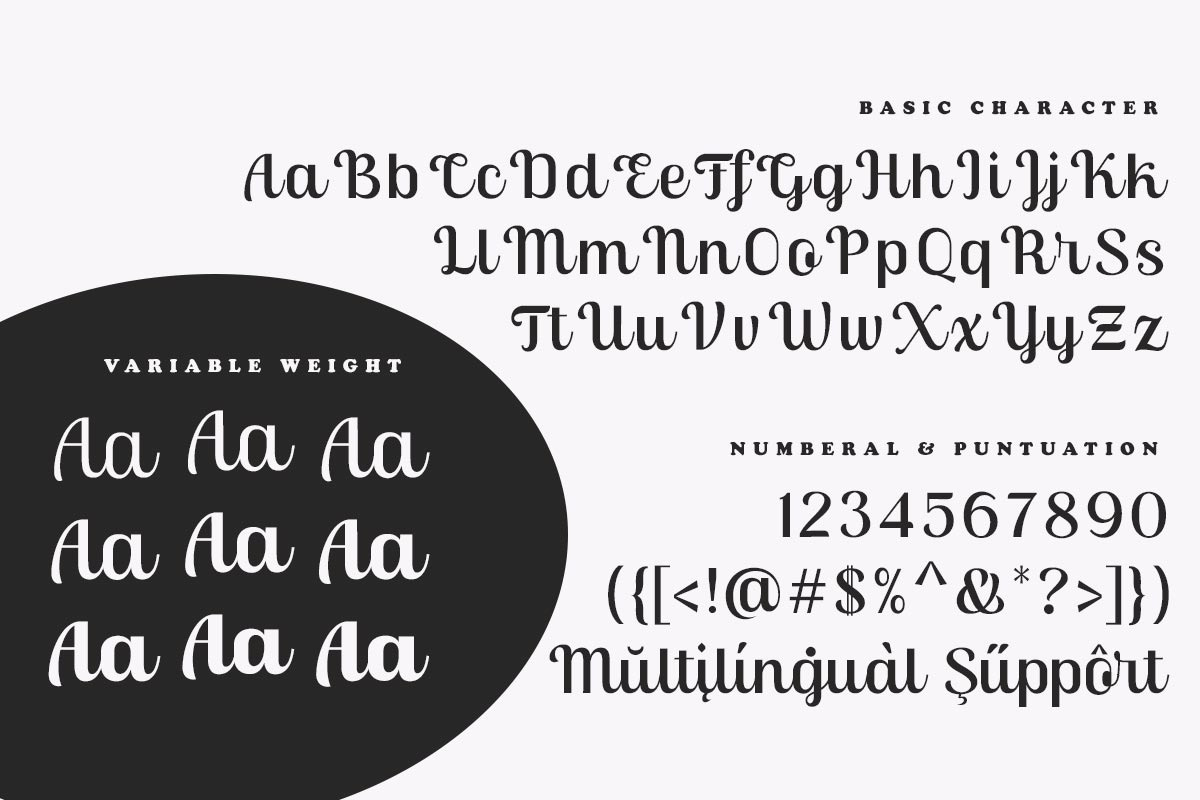 Skinno — A Variable Script Typeface, a Script Font by Skinny Type (Photo 10 of 10)