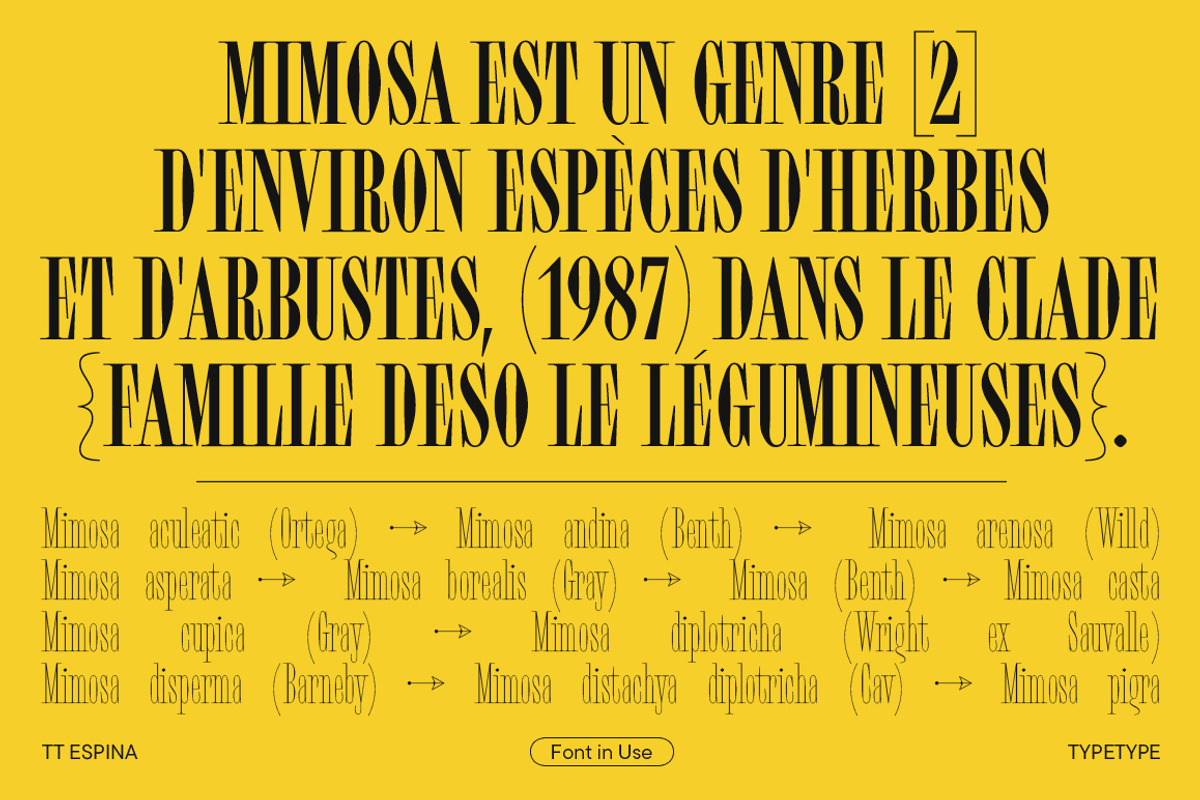TT Espina, a Serif Font by TypeType (Photo 2 of 15)