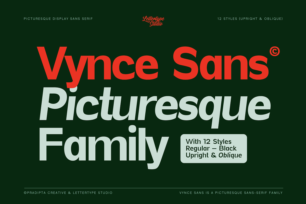 Vynce Sans Picturesque Family, a Sans Serif Font by Lettertype Studio (Photo 1 of 15)