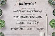 The succulent - font trio!, a Script Font by Andrea De Oliveira (Thumbnail 2 of 7)