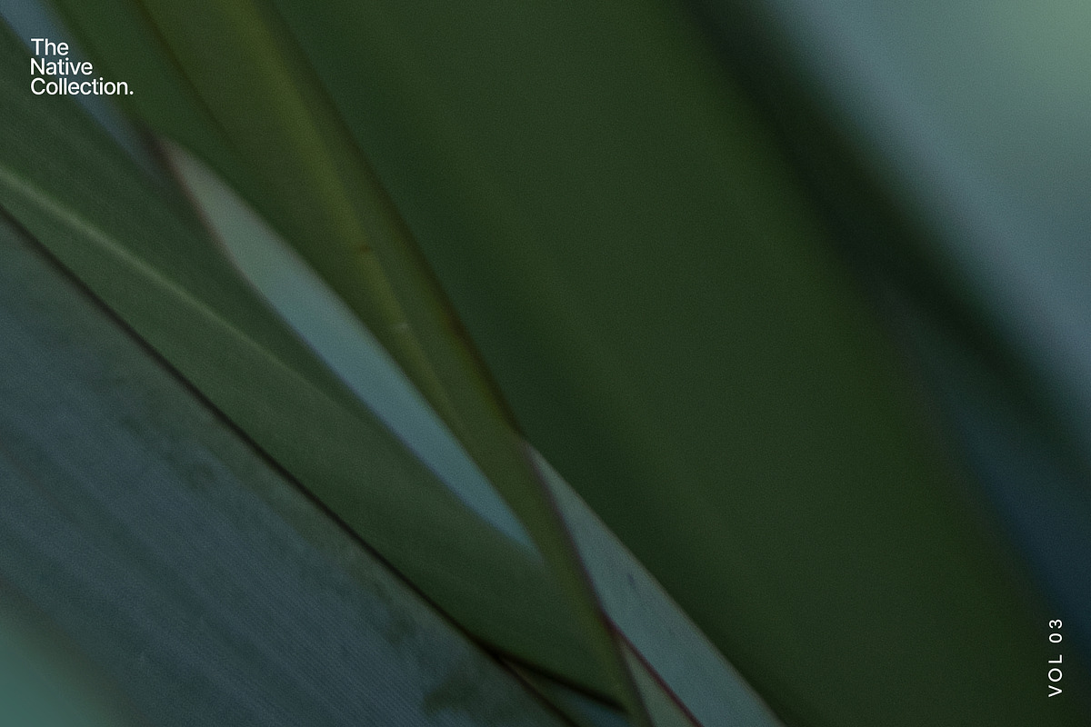 Natural textures - Green edition v03, a Texture Graphic by Haehae photography (Photo 8 of 8)