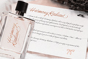 Little Bleach Handwritten Font Duo, a Handwritten Font by Letterhend Studio (Thumbnail 8 of 9)