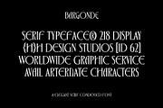 Bargonde | Elegant Serif Condensed, a Serif Font by Hole Hope Design (Thumbnail 3 of 20)