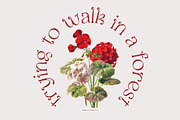 Selukar - Vintage Display Serif Font, a Serif Font by Artflorara (Thumbnail 10 of 15)