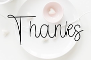 Birthday Thanksgiving, a Handwritten Font by FreshTypeINK (Thumbnail 7 of 9)