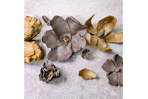 Creating a Clay Flower, a Nature Photo by Natasha Breen