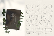Flora. Botanical collection, an Illustration by Merfin (Thumbnail 3 of 8)