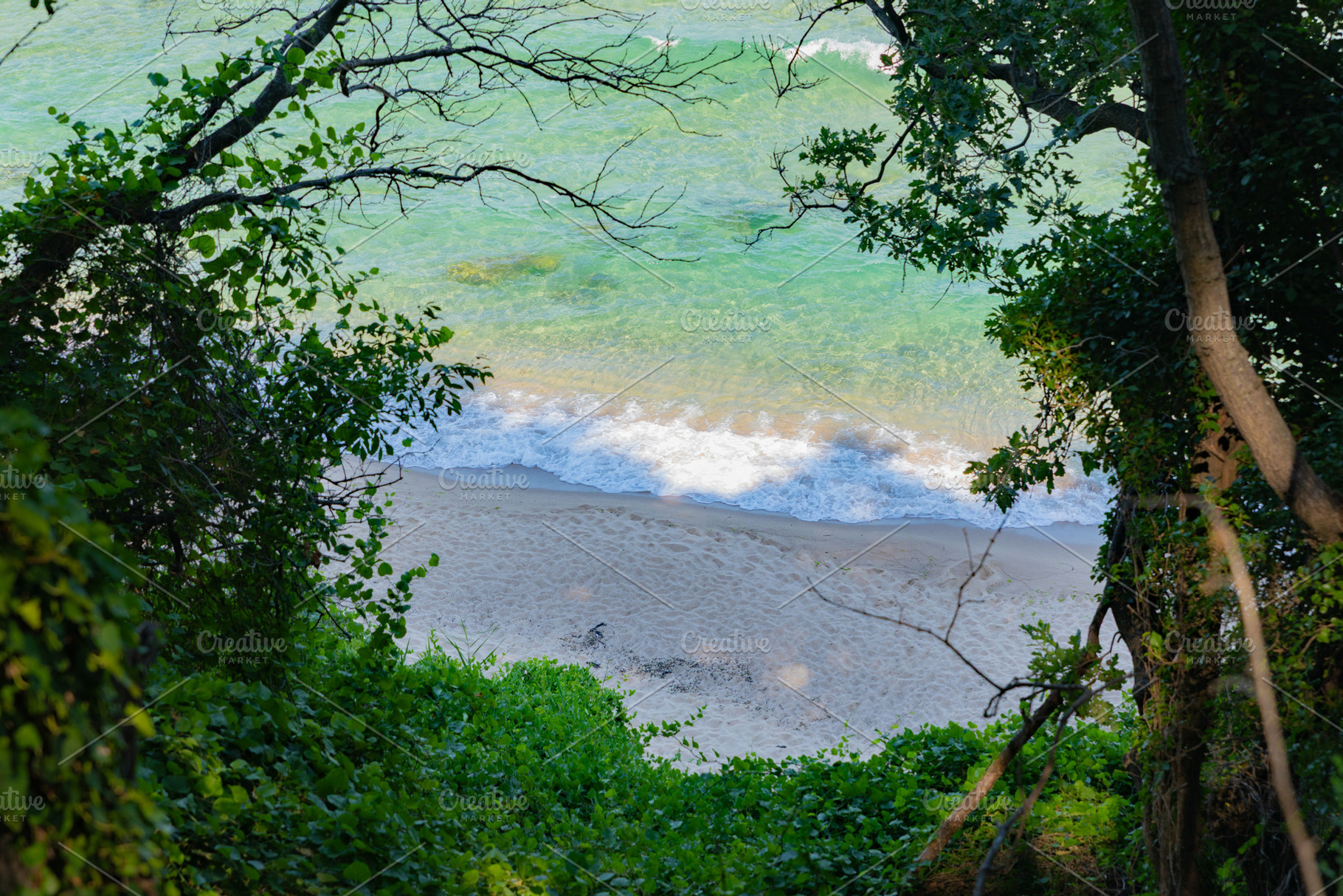 Scenic view of a tranquil sandy beach framed by lush green foliage and clear tu, a Holiday Photo by Ales Munt