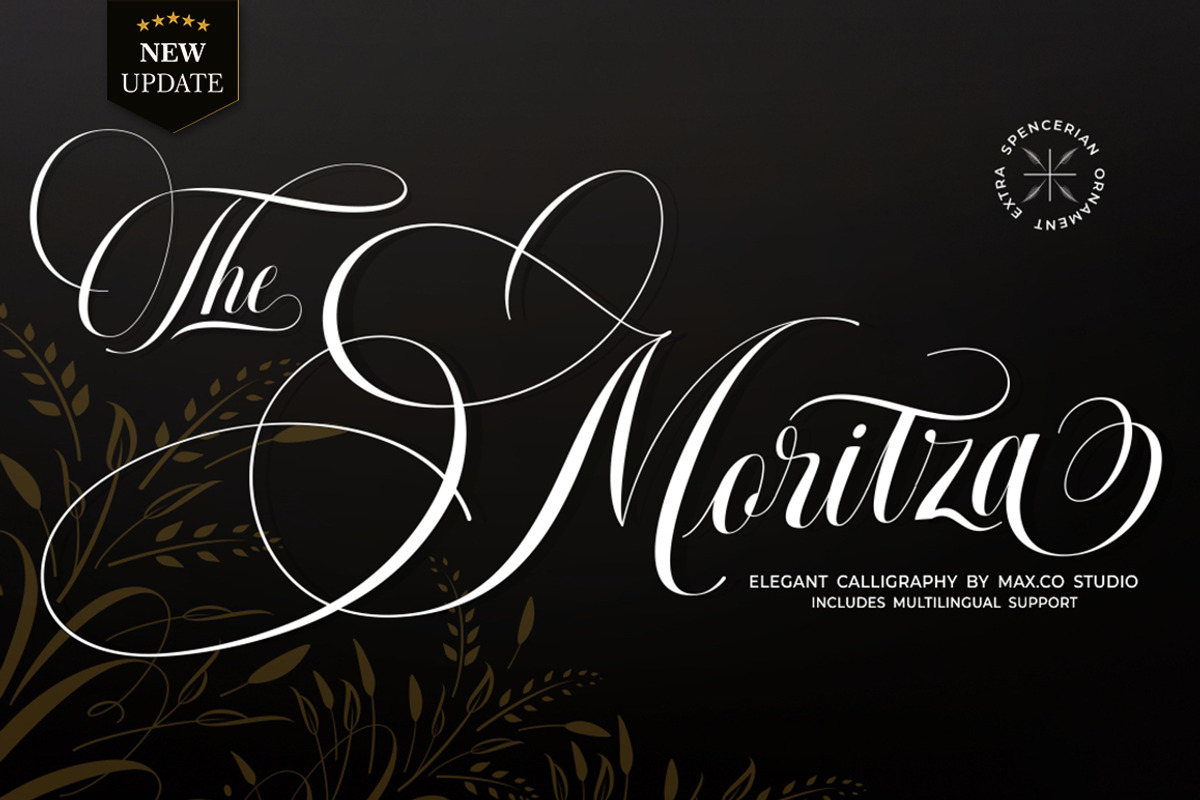 Moritza Script With Ornament, a Script Font by Max.co Studio (Photo 1 of 12)
