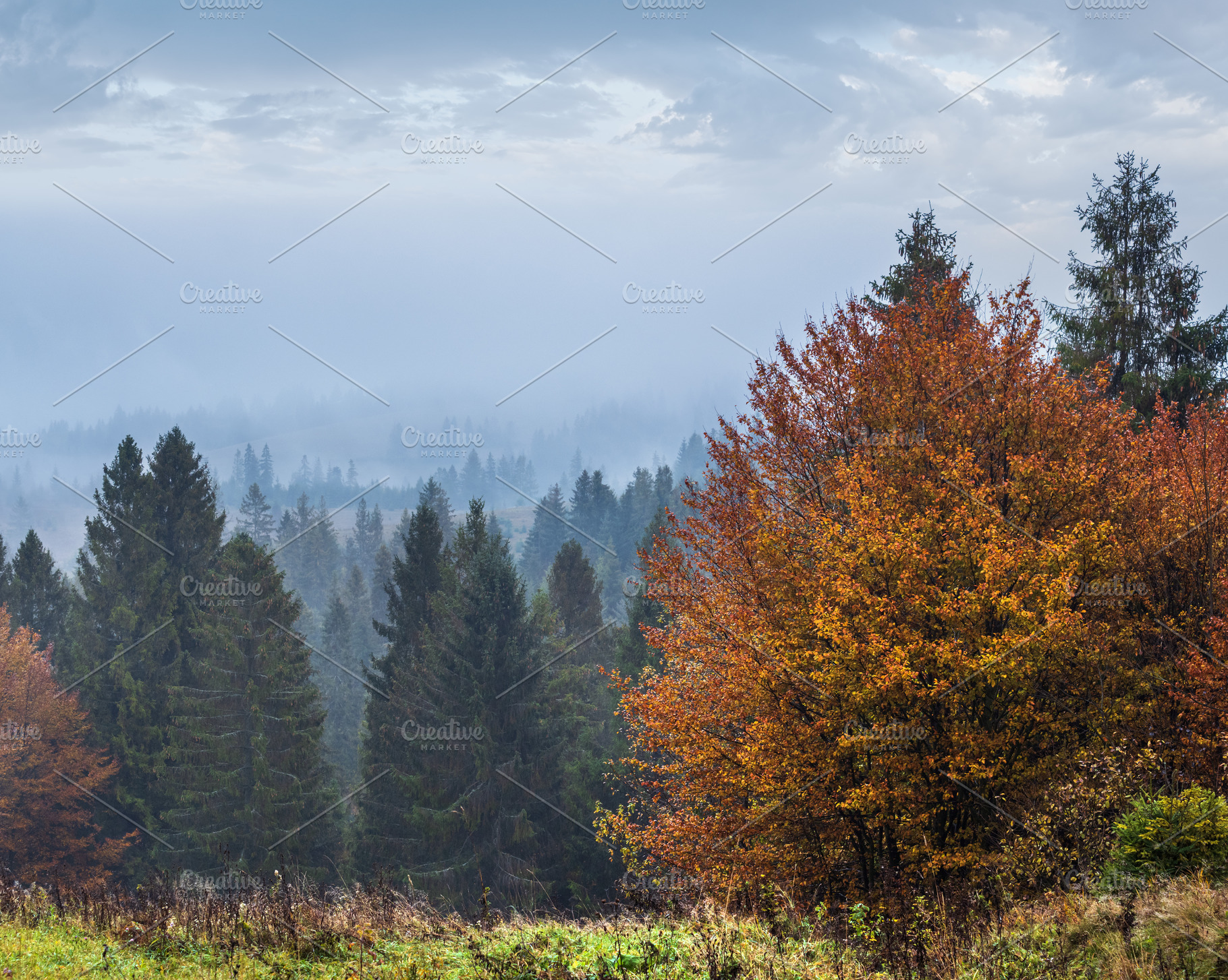 Cloudy and foggy autumn mountains scene. Peaceful picturesque tr, a Nature Photo by YuriyB