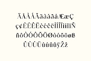 Anthology Paradise Duo Elegant Font, a Serif Font by UICreative (Thumbnail 3 of 13)