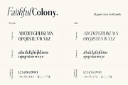 Faithful Colony - Elegant Serif, a Serif Font by creativemedialab (Thumbnail 10 of 13)