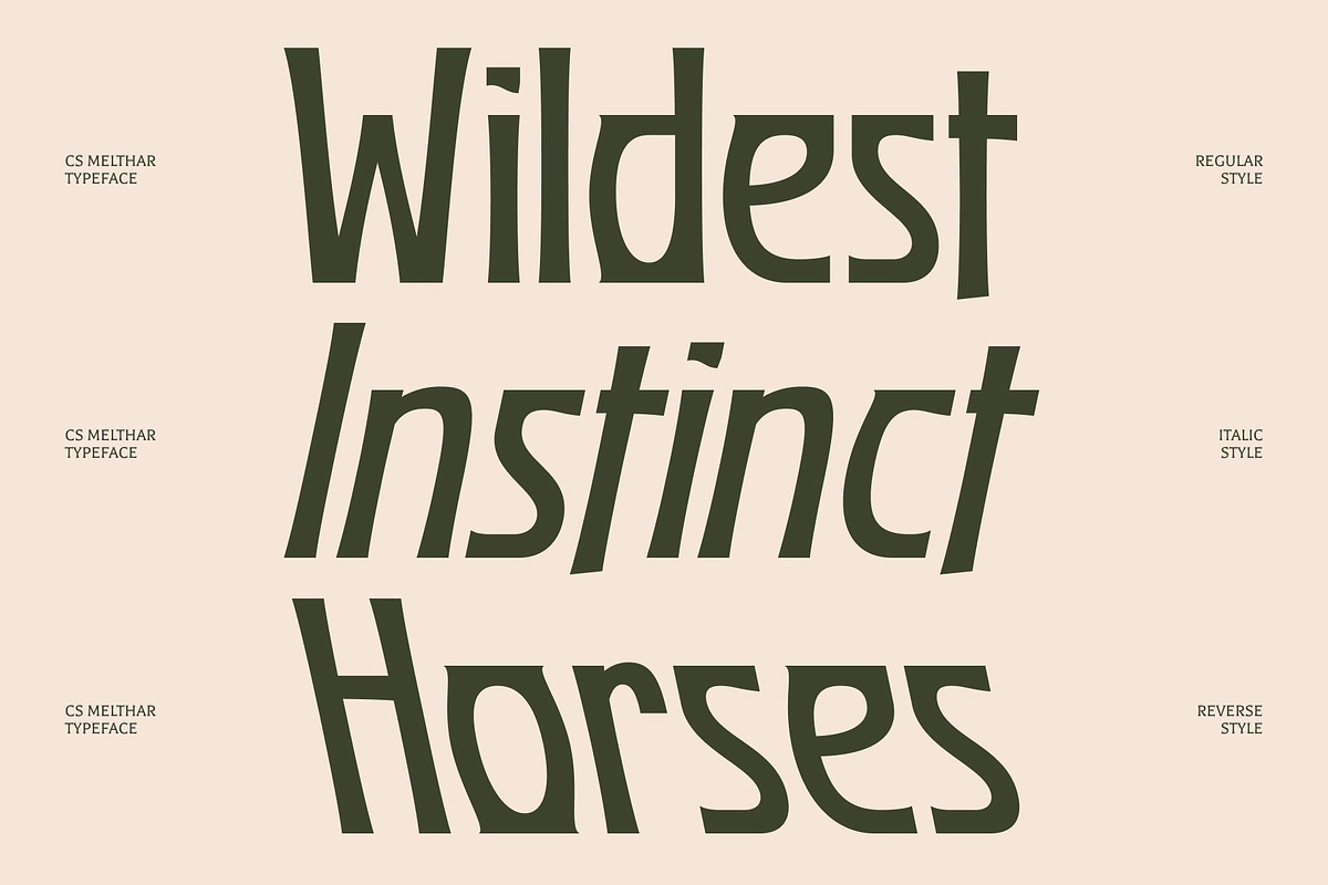 CS Melthar – Classic Display Font, a Sans Serif Font by Craft Supply Co. (Photo 3 of 8)