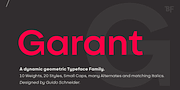 BF Garant, a Sans Serif Font by BrassFonts (Thumbnail 1 of 14)
