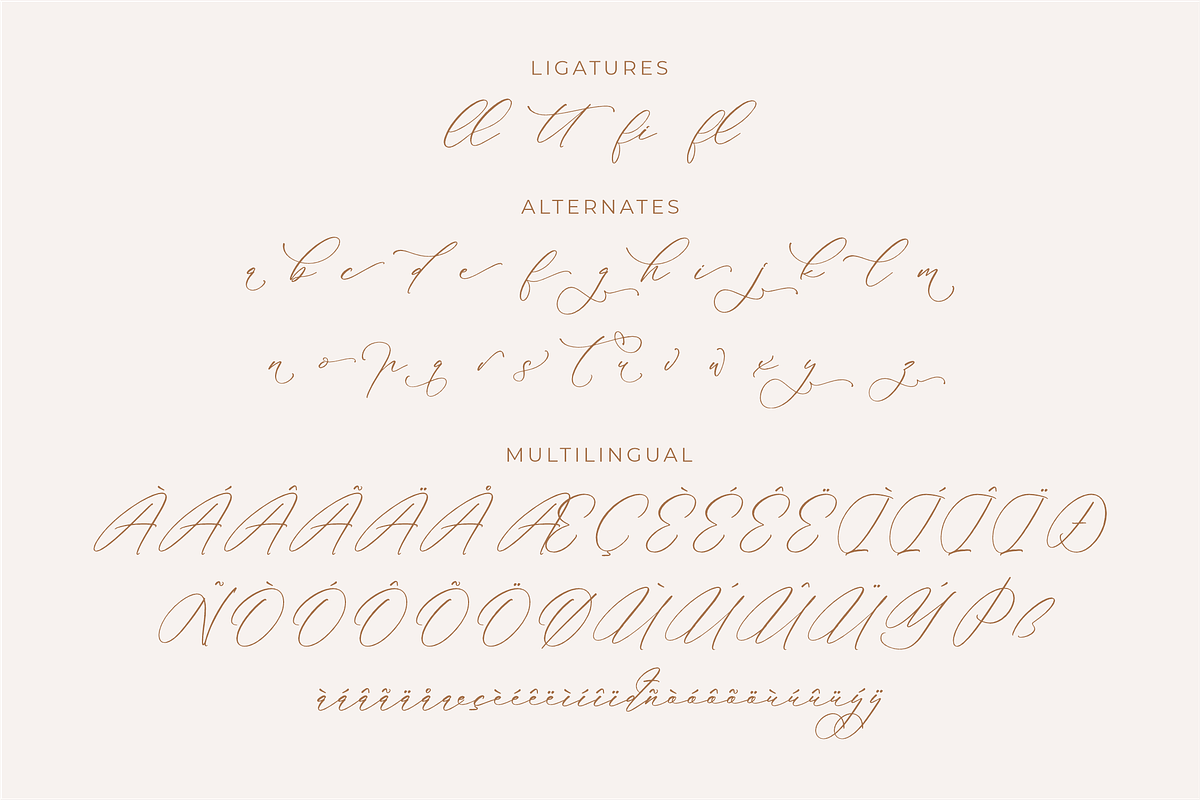 Anticka Whitnes Beauty Script Font, a Script Font by Storytype Studio (Photo 14 of 15)