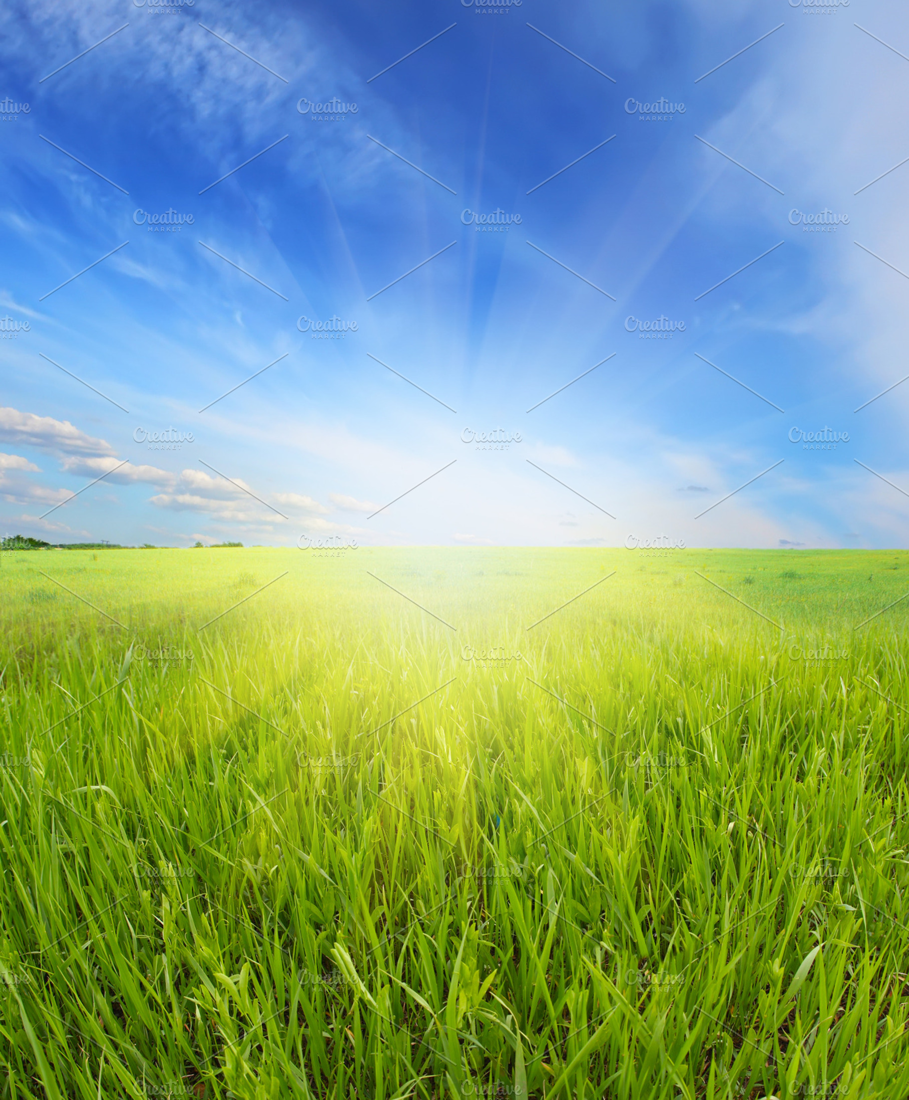 summer landscape, a Wallpaper Photo by Liliia Rudchenko