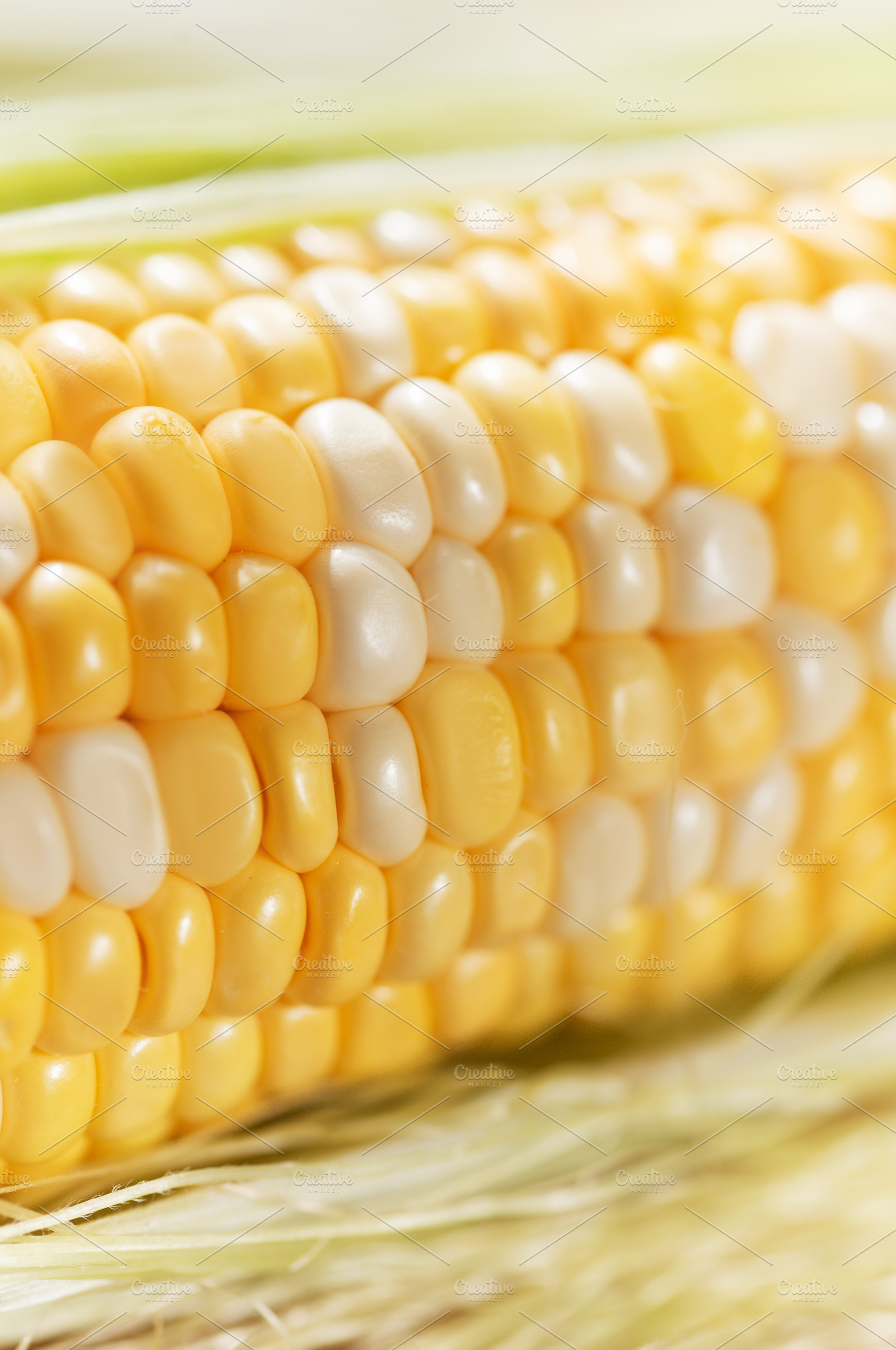 Fresh sweet corn cob with yellow and white kernels, a Food & Drink Photo by Olena Rudo