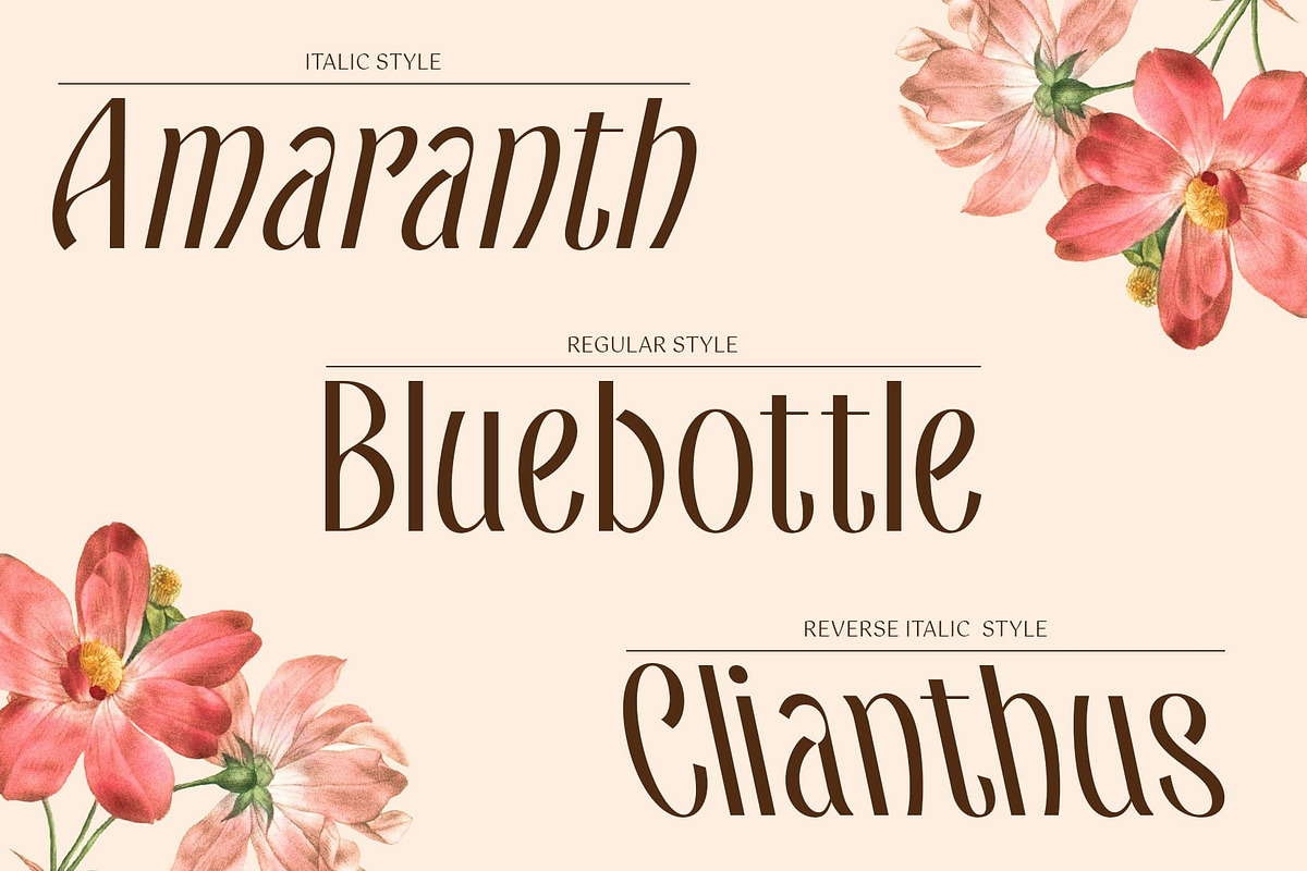 CS Santiago – Aesthetic Font, a Sans Serif Font by Craft Supply Co. (Photo 2 of 8)