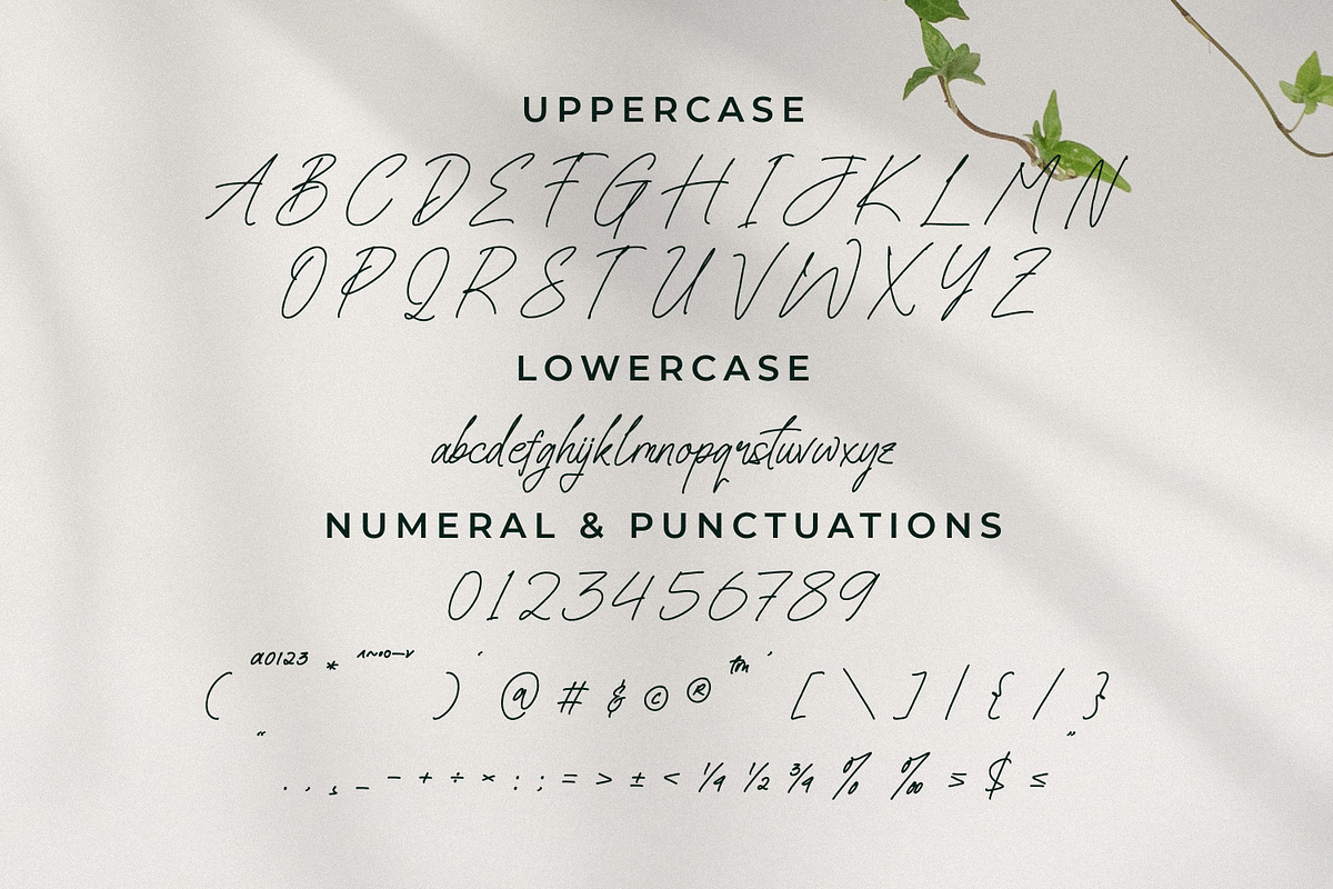 Senofeetha, a Script Font by Integritype Studio (Photo 9 of 15)