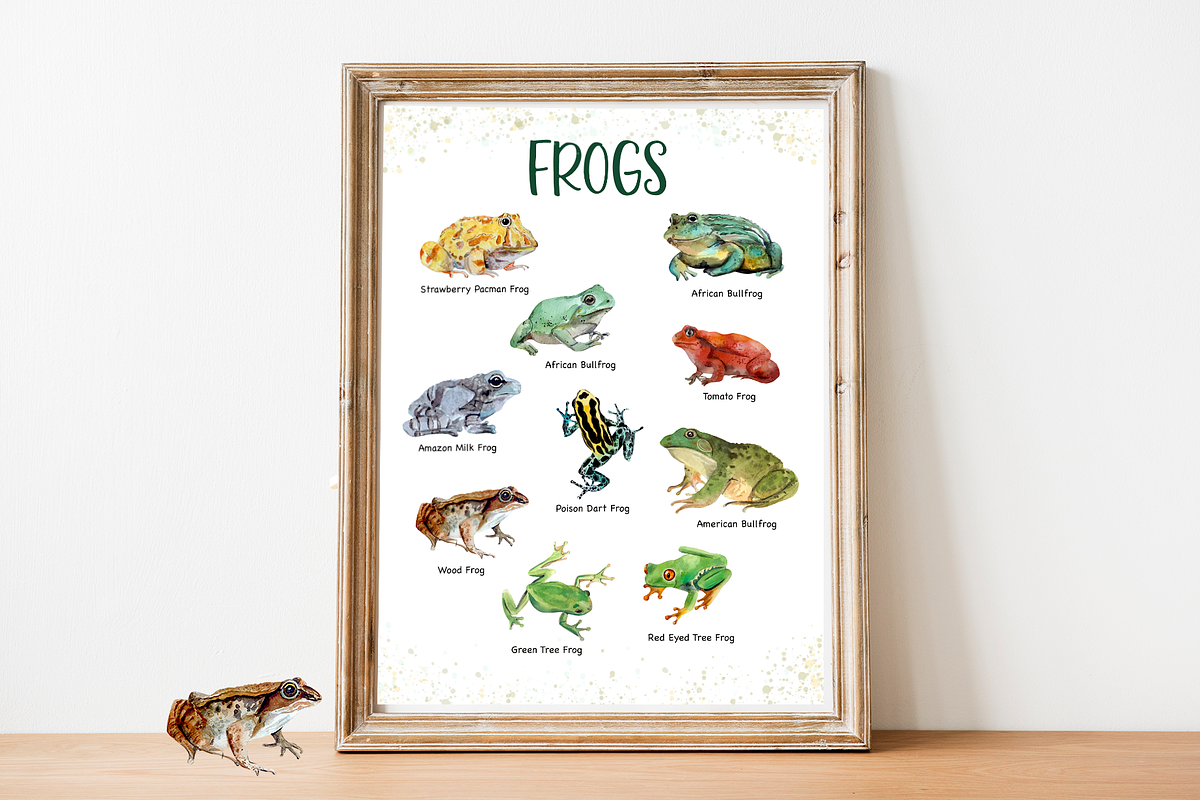 Frogs Watercolour Set, an Education Illustration by Tati Bordiu (Photo 4 of 5)