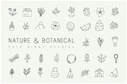 Hand drawn nature & plants doodles, an Illustration by Crocus Paperi (Thumbnail 1 of 4)