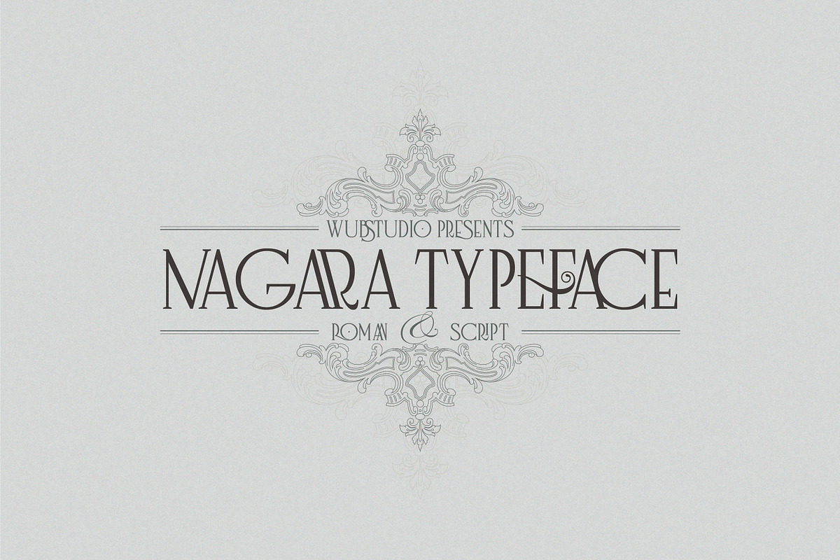 Nagara Typeface (Roman & Script) preview 2