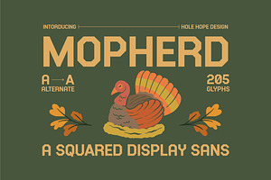 Mopherd | Squared Display Sans Font