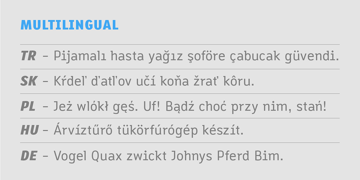 Macella, a Sans Serif Font by VivalaType (Photo 4 of 7)