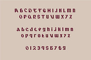 Ecuador modern retro typeface, a Serif Font by WAP (Thumbnail 5 of 7)