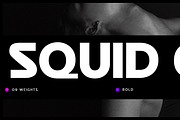 Squid GT Display, a Font by Foxtype